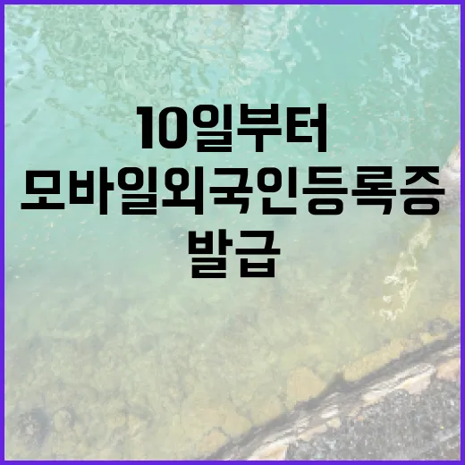 모바일 외국인등록증 10일부터 간편 발급 시작!