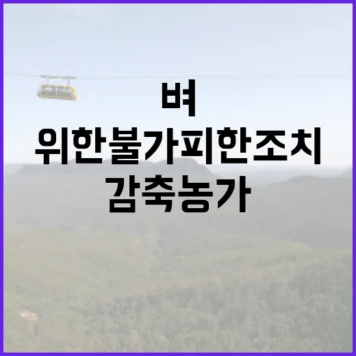 벼 재배지 감축 농가소득안정 위한 불가피한 조치!