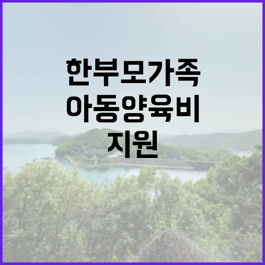 한부모가족 지원 예산 증가 아동양육비 확대!