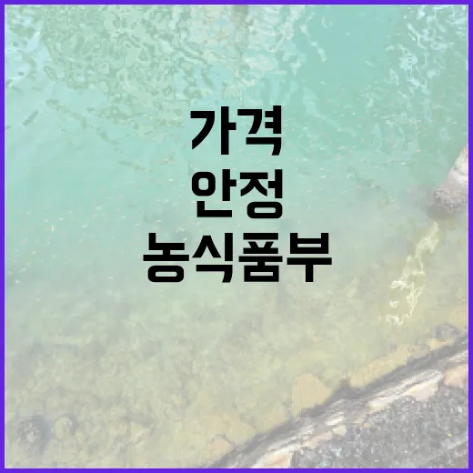 딸기 가격 안정 농식품부 중장기적 생산 증가 예고!