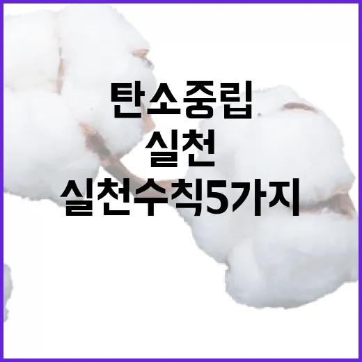 탄소중립 에너지 절약 실천 수칙 5가지 공개!