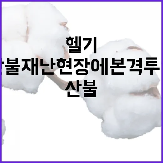 헬기 산불재난 현장에 본격 투입된다!