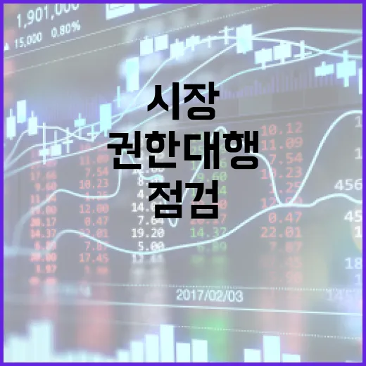 금융시장 점검체계 권한대행의 강력한 당부!