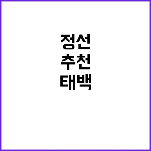 태백정선지사 정선출…