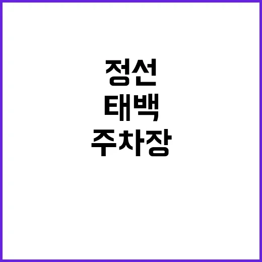 태백정선지사 주차장…