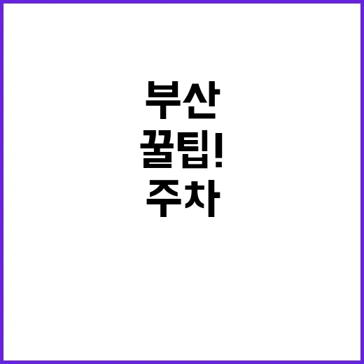 부산서부지사 지하 …