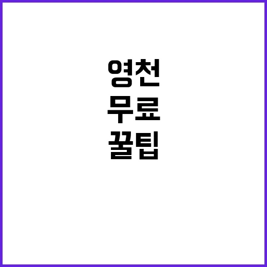 영천지사 주차장