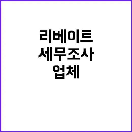 국세청 47개 업체 리베이트 제공 세무조사!