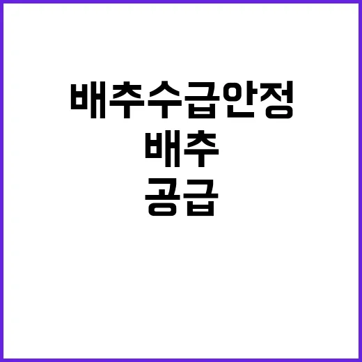 배추 수급 안정 정부의 탄력적 공급 방안 공개!