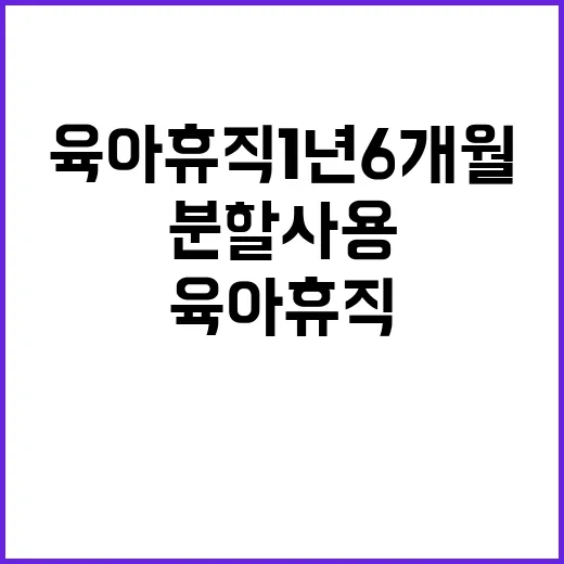 육아휴직 1년 6개월 분할 사용 방식 공개!