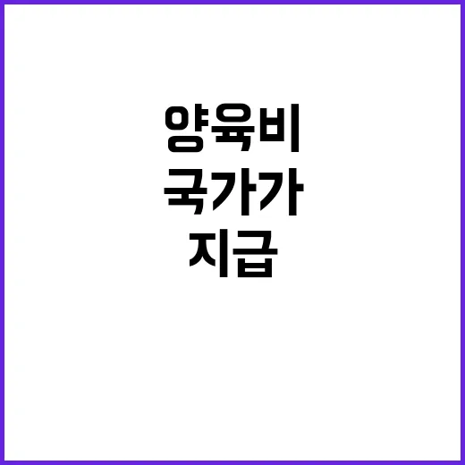 양육비 지급 국가가 책임지는 시스템 내년 도입!