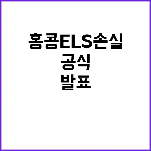 “금융위 홍콩 EL…