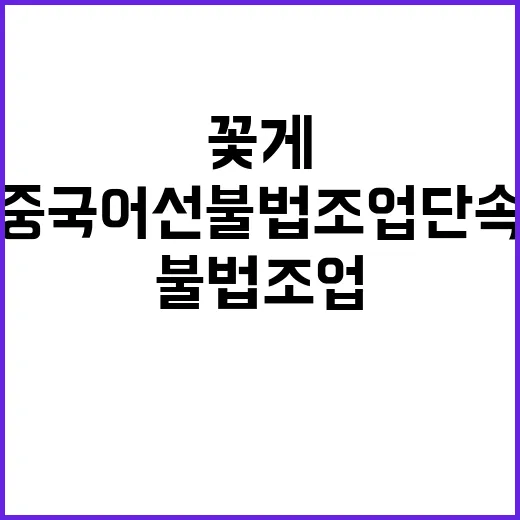 꽃게 수급 안정 중국어선 불법조업 단속 노력