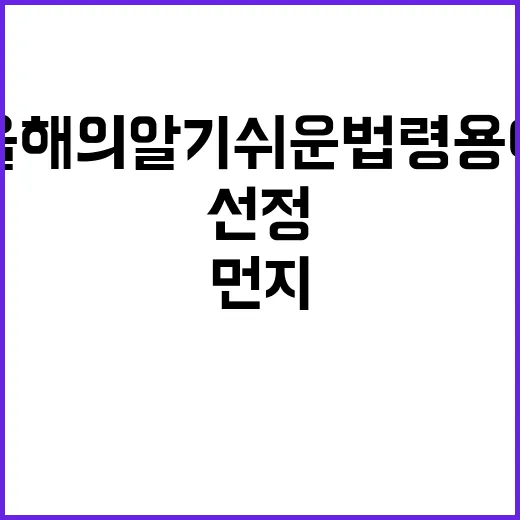 비산 먼지 올해의 …