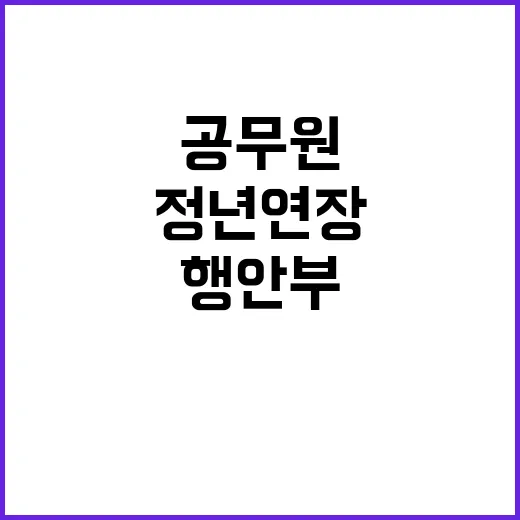 행안부 정년연장 공…