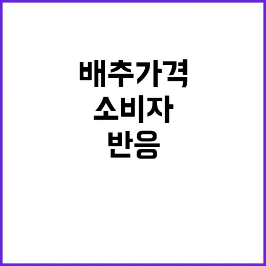 배추 가격 하락 소비자들 반응은?