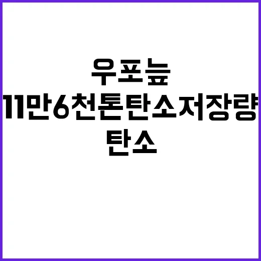 우포늪 11만 6천 톤 탄소 저장량 발견!