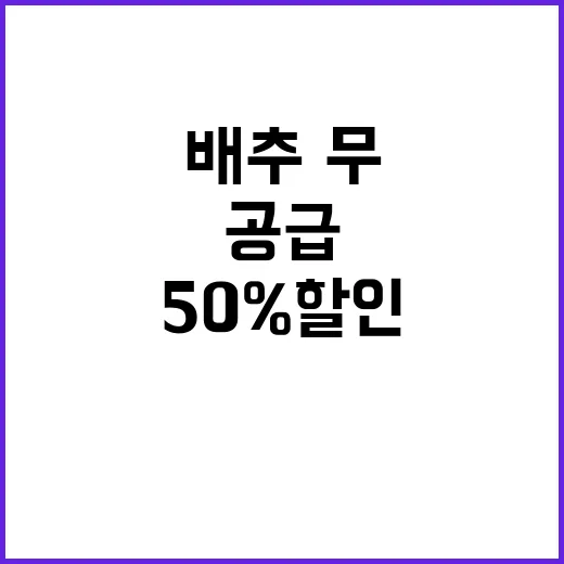 김장재료 50% 할인 배추·무 공급 완벽 해결!