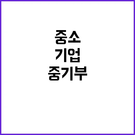 중기부 중소기업 정책자금 집중 지원 발표!