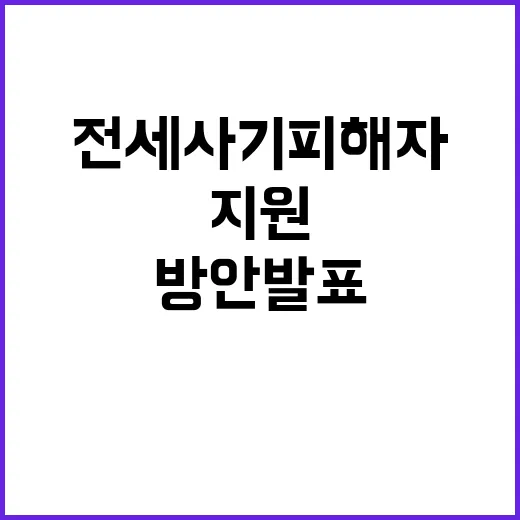 전세사기피해자 12…