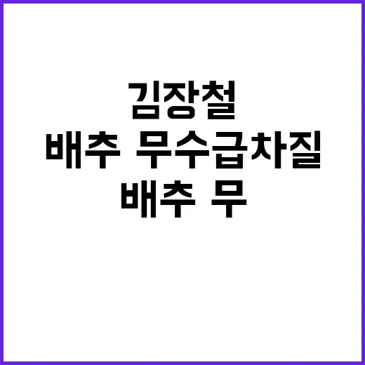 김장철 배추·무 수…