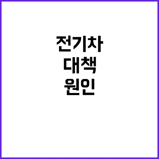 전기차 배터리 대책…