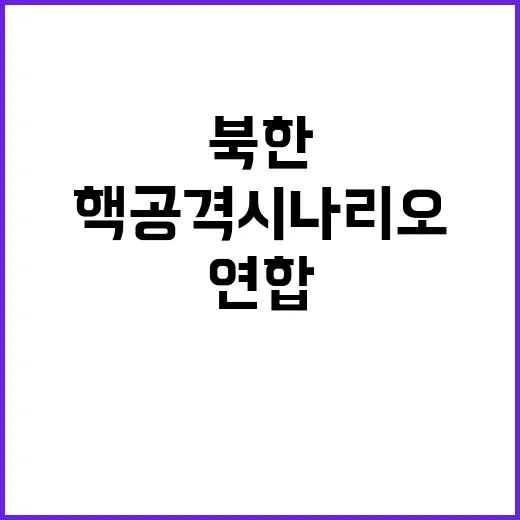 연합연습 북한 핵 공격 시나리오 결정적 반영