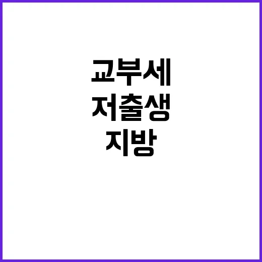 지방교부세 확대 저…