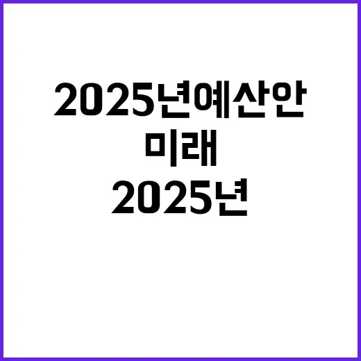 2025년 예산안 정부의 미래 전략은 무엇인가?