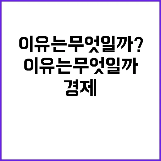 경제 체질 더 튼튼해지고 있는 이유는 무엇일까?