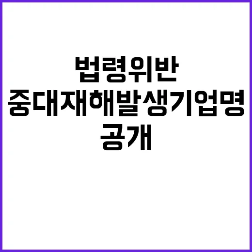 중대재해 발생 기업…