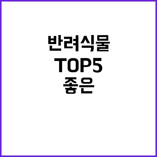 반려식물 사무실에 두기 좋은 TOP 5!