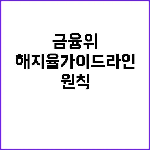 “해지율 가이드라인 금융위의 새로운 권고 및 원칙”