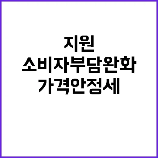 배추가격 안정세 소비자 부담 완화 지원 노력 공개!