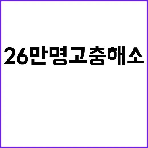 ‘저출생’ 문제 26만 명 고충 해소의 비밀!