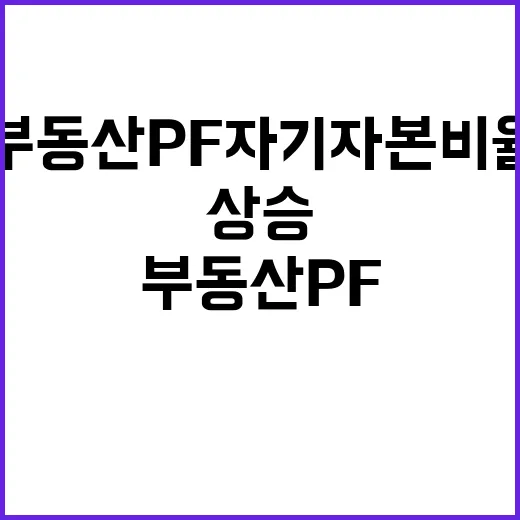 부동산 PF 자기자본비율 향후 안정성 기대감 상승!