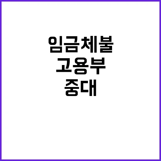 임금체불 중대범죄로…