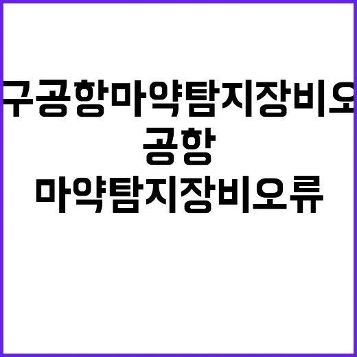 관세청 진실 대구공…