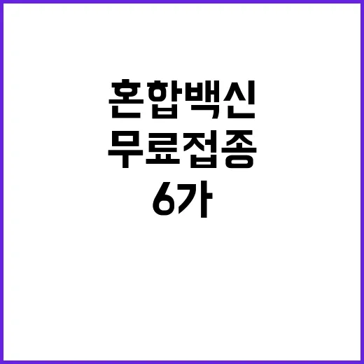 6가 혼합백신 내년…