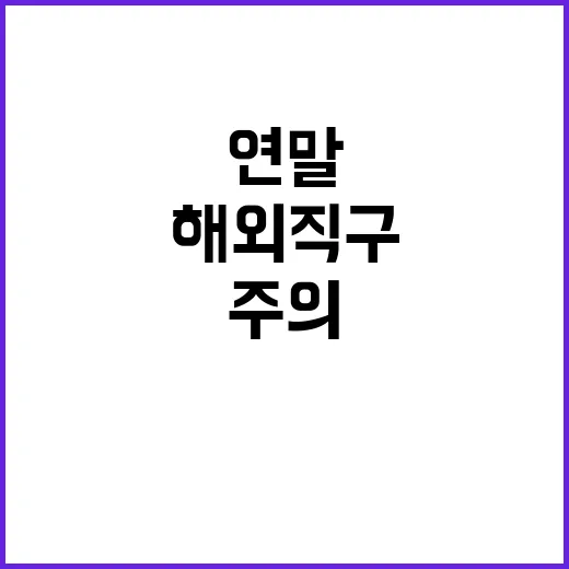 연말 해외직구 구매…