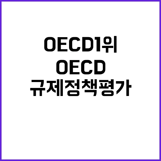 OECD 1위 규제…