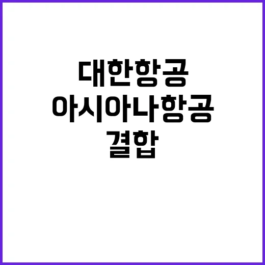 대한항공아시아나항공 결합 심사 드디어 최종 마무리!