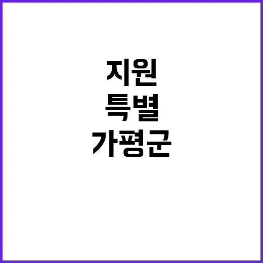 가평군·속초시 특별 지원으로 국가보조금 증가!