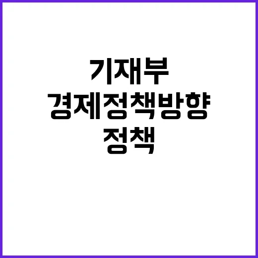 경제정책방향 기재부의 결정된 사실은 없다!