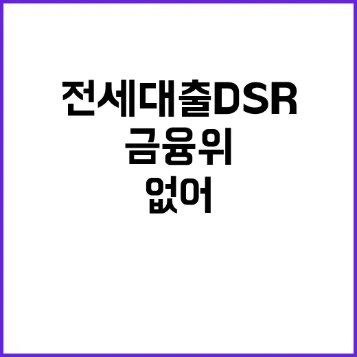 전세대출 DSR 적용 금융위 “결정된 바 없어”