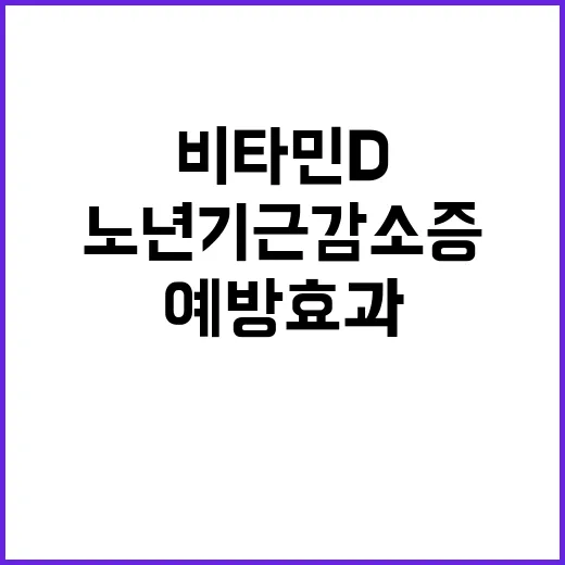 비타민D 보충 노년기 근감소증 예방 효과 확인!