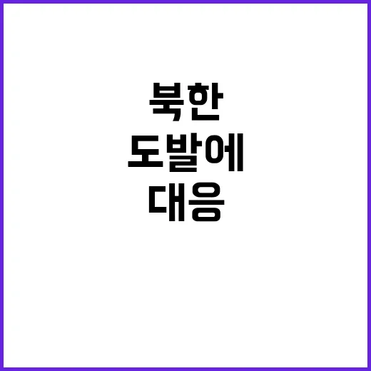 한미 연합방위태세 북한 도발에 즉각 대응 준비완료!