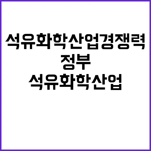 석유화학산업 경쟁력 정부의 진짜 입장 공개!