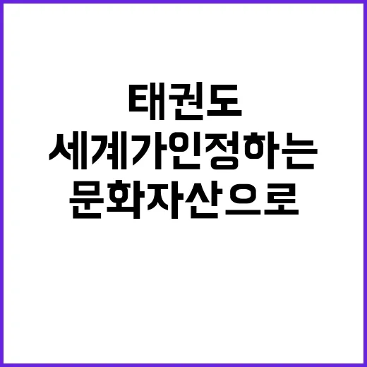 태권도 세계가 인정하는 케이문화자산으로의 도약!