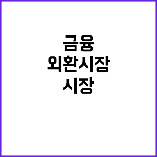 금융·외환시장 정부…